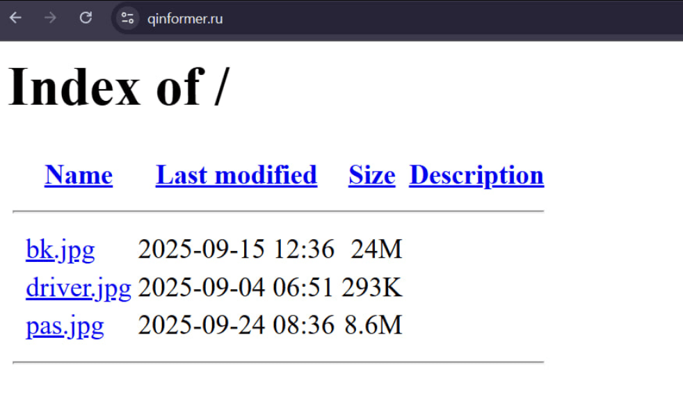 Рис. 22. Вредоносный домен с opendir