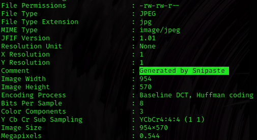 Рис. 18. Метаданные картинки
