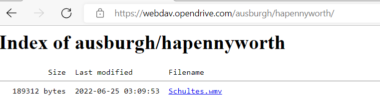 The file containing the module on the server