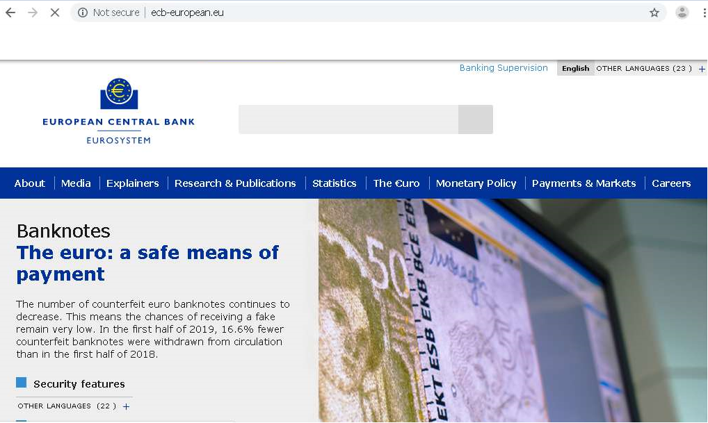 Figure 3. Phishing website main page