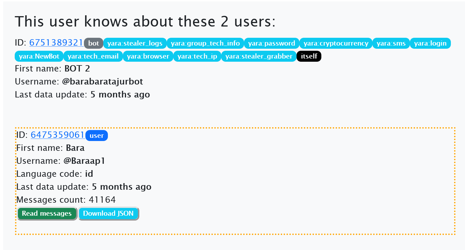 An example of one of the bots and its chat room with the messages shared with the victims